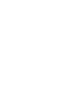 Dinant logo