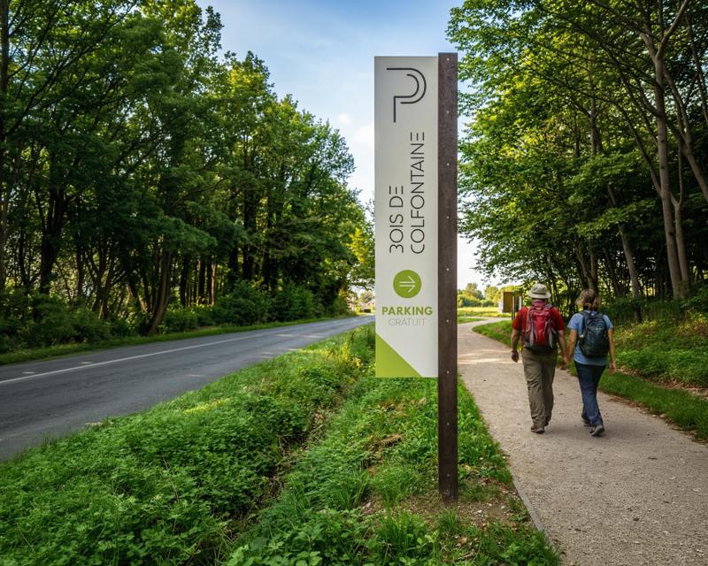 Bois de Colfontaine